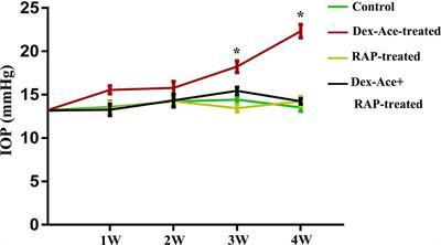 Protective Effects of Rapamycin on Trabecular Meshwork Cells in Glucocorticoid-Induced Glaucoma Mice